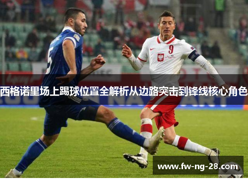 西格诺里场上踢球位置全解析从边路突击到锋线核心角色