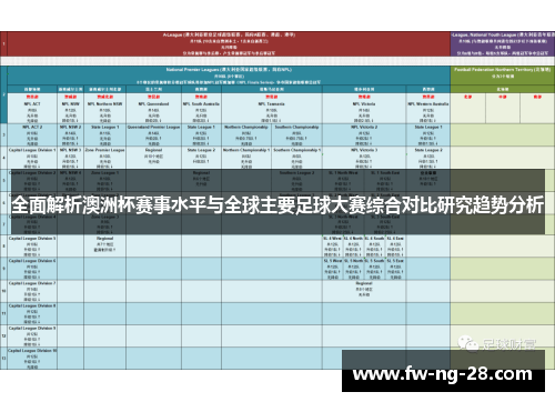 全面解析澳洲杯赛事水平与全球主要足球大赛综合对比研究趋势分析
