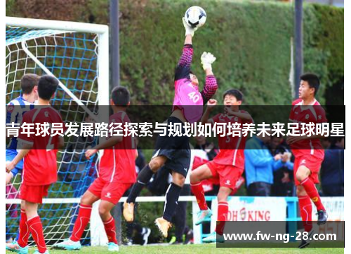 青年球员发展路径探索与规划如何培养未来足球明星